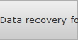 Data recovery for Sandy data